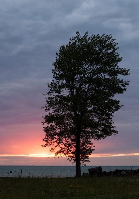Along Route 6 in Ohio