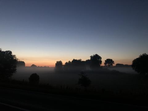 Mist